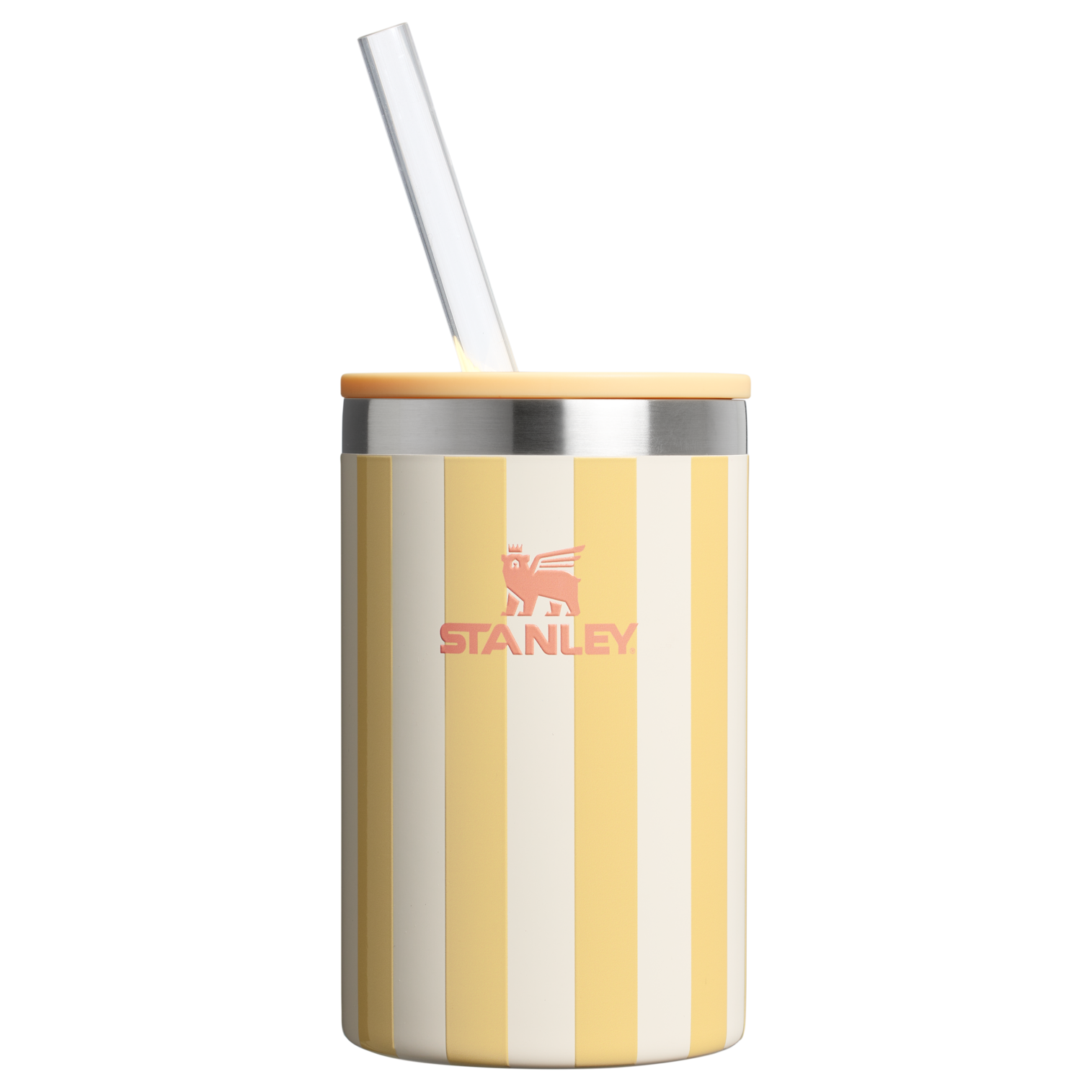The Everyday Can Cooler Cup